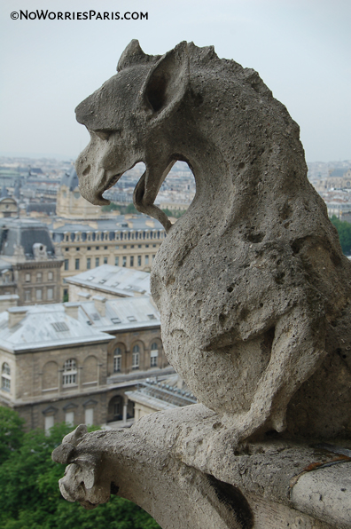 Gargoyle Dragon perced on Notre Dame