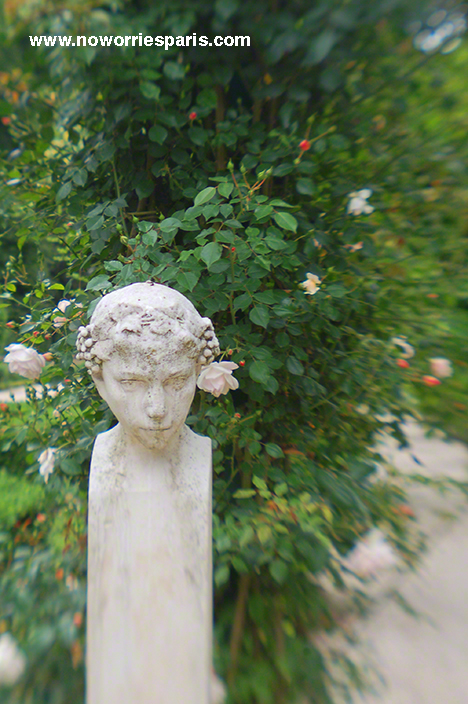 Paris_bagatelle_rosegarden