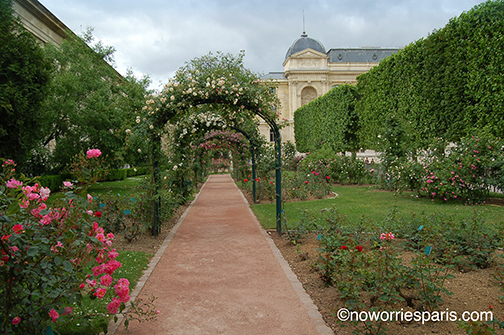 Jardin des Plantes path