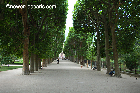 Jardin des Plantes Paris
