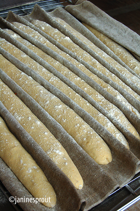 bestbaguetteParisNoWorries