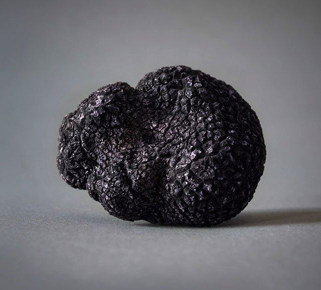 truffle_noire_no_worries_paris