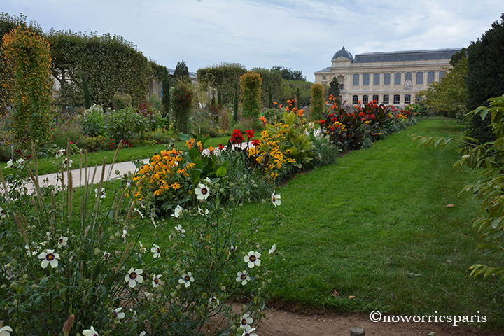 pfwjardinplantes2016